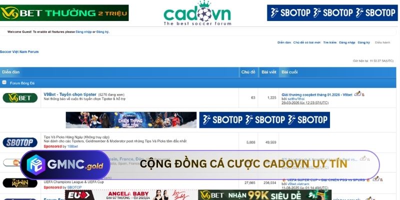 Cộng đồng cá cược Cadovn uy tín