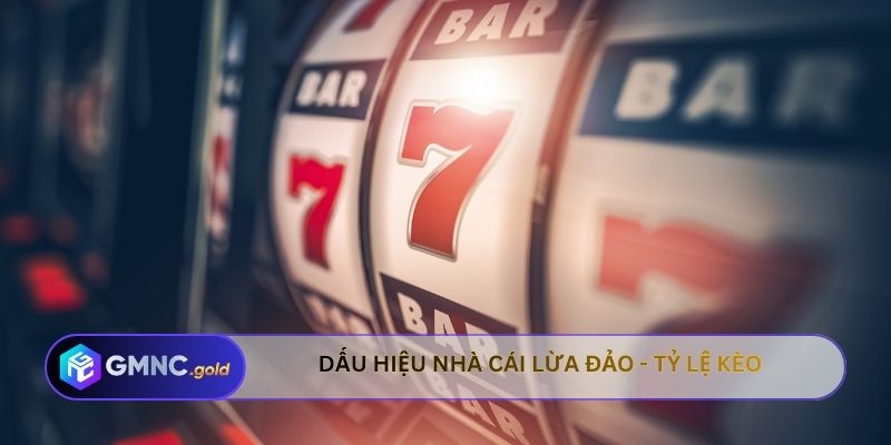 Dấu hiệu nhà cái lừa đảo - Không có chứng chỉ